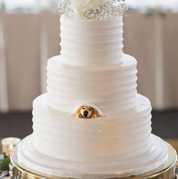 Meet your Posher, Debbie - Picture 1 of 1